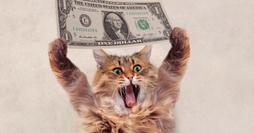 b_500_450_16777215_00_images_Cat-steals-money-to-give-to-homeless-video-Kids-Activities-Blog-fb.jpg
