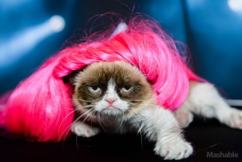 grumpy-cat-nicki-minaj