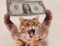 Here Are Some EdFringe Hardship Bursaries